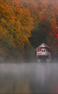 Hike to Winkworth Arboretum cover