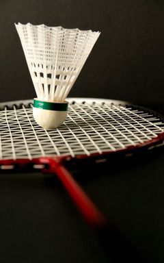 Beginners Badminton Club