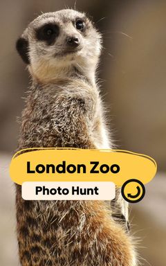 London Zoo | Photo Scavenger Hunt 🦁📸 cover