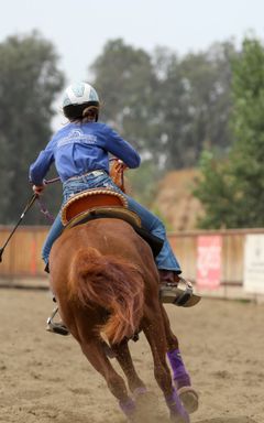 Polo in the Park cover