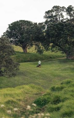 Zielona Białołęka/Targowek walking together cover