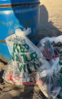 Keep Nature Wild Beach Cleaning Event🌵 cover