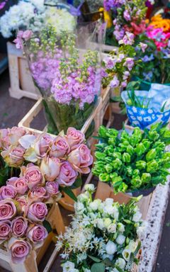 Visit flower market cover