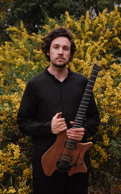 Plini Concert cover