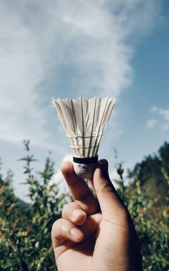 Lets Play Badminton