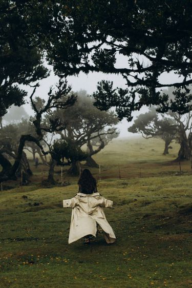 2 image in gallery