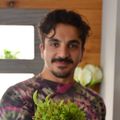 Rashed's avatar