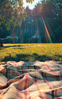 Chatty Blanket Picnic cover