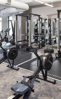 Looking for daily Gym buddy cover