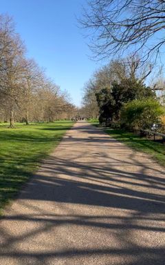 5k Hyde Park Morning Run 🏃 cover