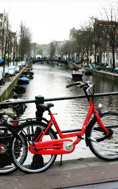 Amsterdam cover