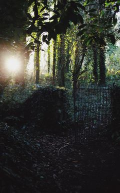 Explore Epping Forest cover