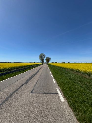 4 image in gallery