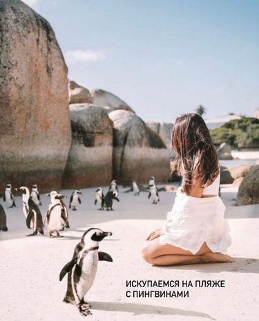8 image in gallery