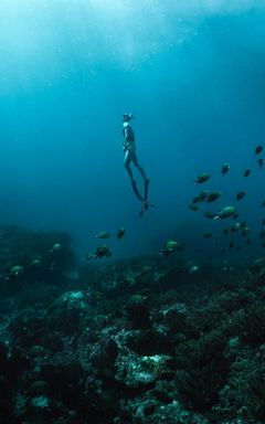 Diving & Free-Diving club 🤿 cover