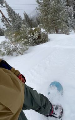 Snowboarding in LA cover