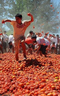 La Tomatina 2024 cover