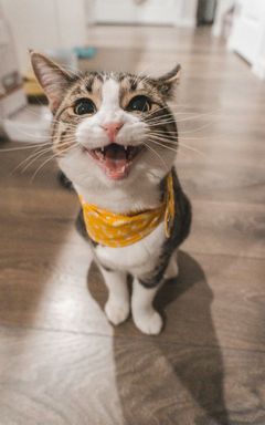 Brian's Wonderful Club