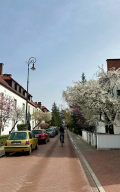 STARY ŻOLIBORZ