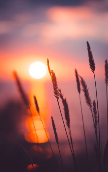 3 image in gallery