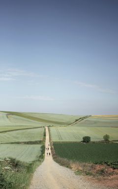 Walking the Camino de Santiago (Portugal/Spain)