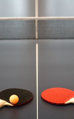 Play ping pong cover