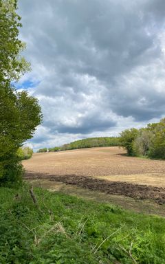 Sunday Hike in The Chilterns cover