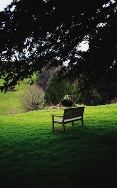 Explore Epping Forest cover