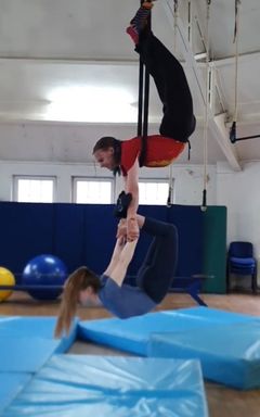 Trapeze/silks class cover