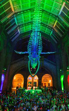 Silent disco at Natural History Museum cover