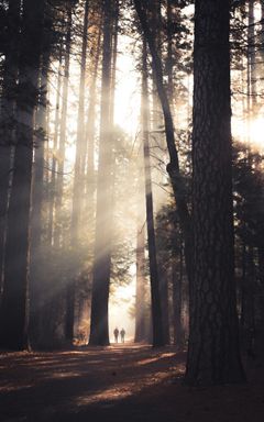 Spring forest 🌳 bathing walk with me cover