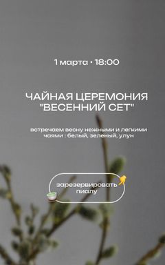 Чайная церемония в Варшаве cover