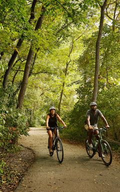 Cycling in Kampinoski Park Narodowy cover