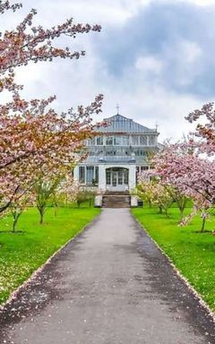 Kew Gardens- Sounds of Blossom visit cover