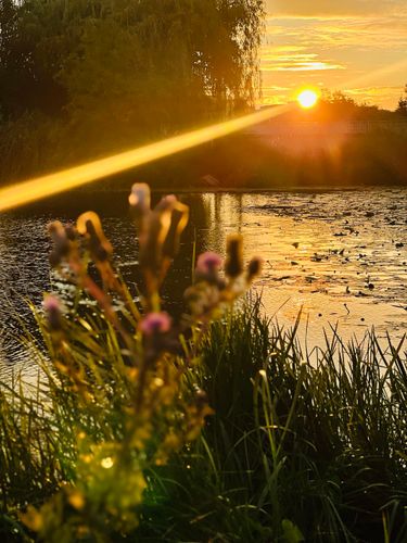 3 image in gallery