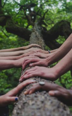 Holistic therapists club