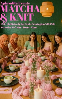 Destiny's Wonderful Event cover