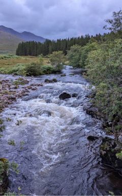 The Stunning Scottish Highlands! cover