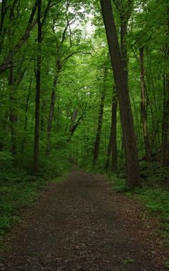 BWYC: Breathe & Yap Mental Health Hike cover