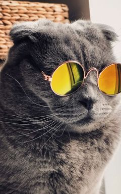 Продюсеры курсов / запусков / инфо продуктов