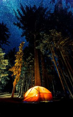 Girls only camping cover