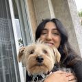 Simmi's avatar