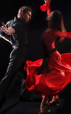 Salsa partner cover