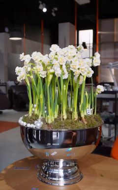 Norm Morning 💛 vol.3 (Pop-up edition) cover