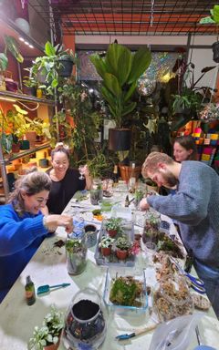 BYOB Terrarium Workshop in the Indoor Jungle cover