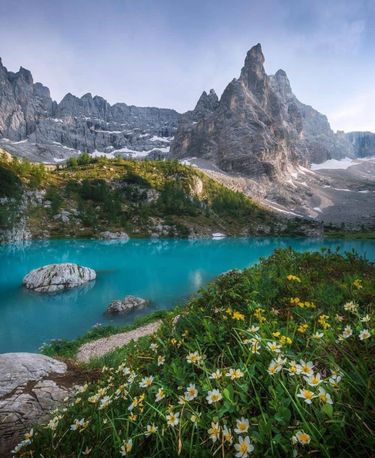 7 image in gallery