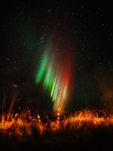 9 image in gallery