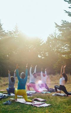 Park Yoga cover