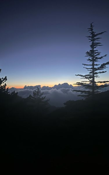 4 image in gallery