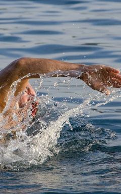 The Swimmers cover
